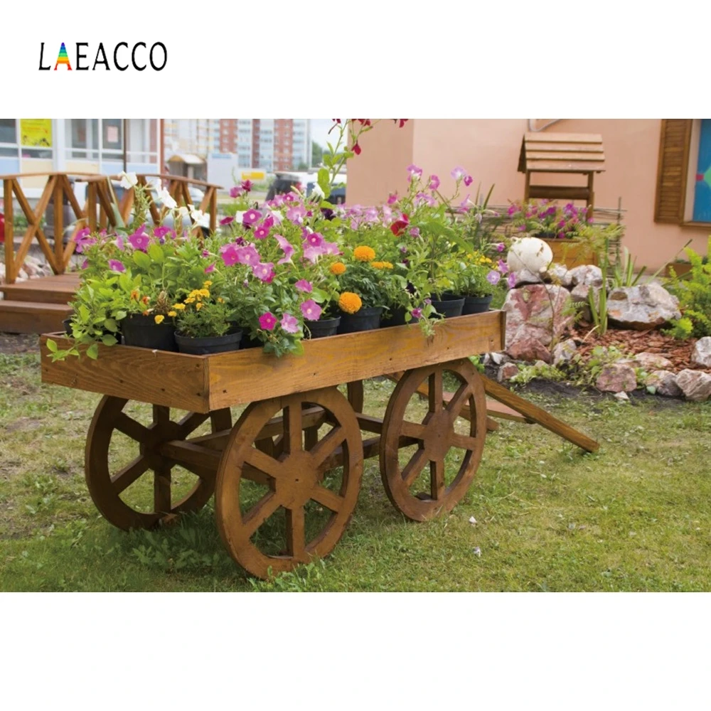Laeacco колеса курган садовые цветы фотографии фоны Виноградная лоза Декор
