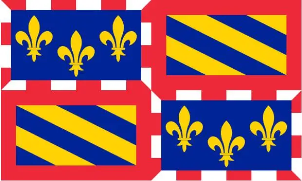 

Французский флаг Бургундии 3ft x 5ft полиэстер баннер Летающий 150*90 см пользовательский флаг на открытом воздухе