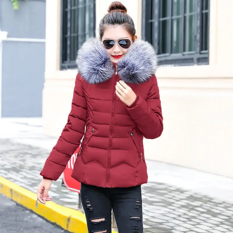 Новый 2019 зимняя куртка Для женщин искусственный мех ошейники для собак s