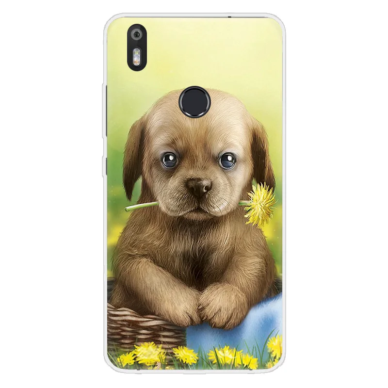 Чехол для телефона BQ Aquaris U2 Lite V Plus X Pro M 2017 VS Cat Dog animals прозрачный мягкий силиконовый