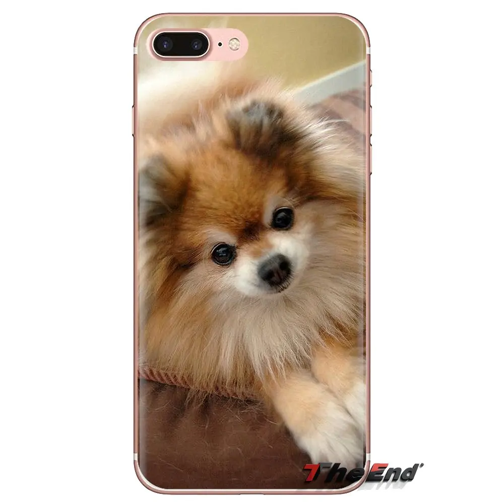 ТПУ чехлы для Xiaomi Mi4 Mi5 Mi5S Mi6 Mi A1 A2 5X 6X 8 9 Lite SE Pro Max Mix 2 3 2S Micro Teacup Pomeranian Puppy Dogs |