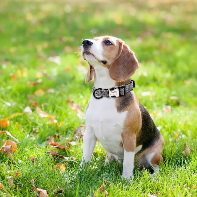 Ошейник под заказ для собак и кошек гравировка имени питомца по индивидуальному