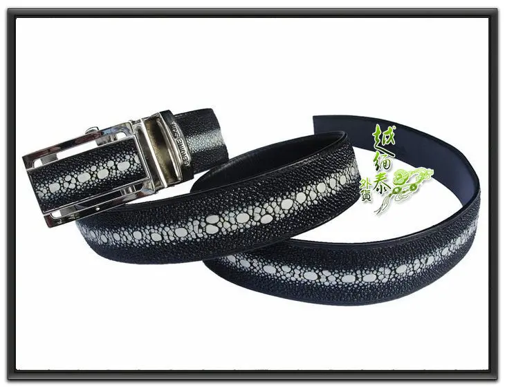 ROTA Thailand stingray belt men belt 