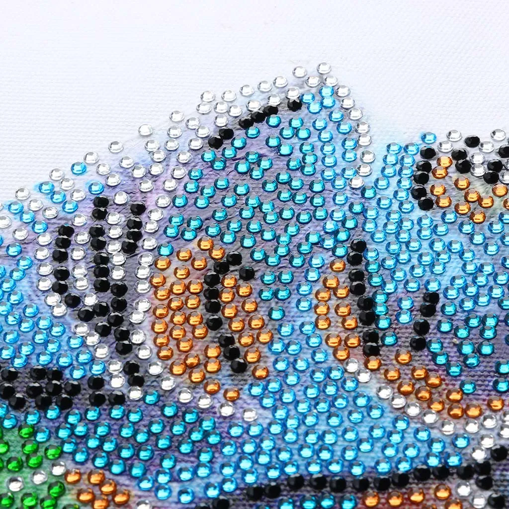 Алмазная картина специальной формы DIY 5D Набор для вышивки крестом кристаллы R