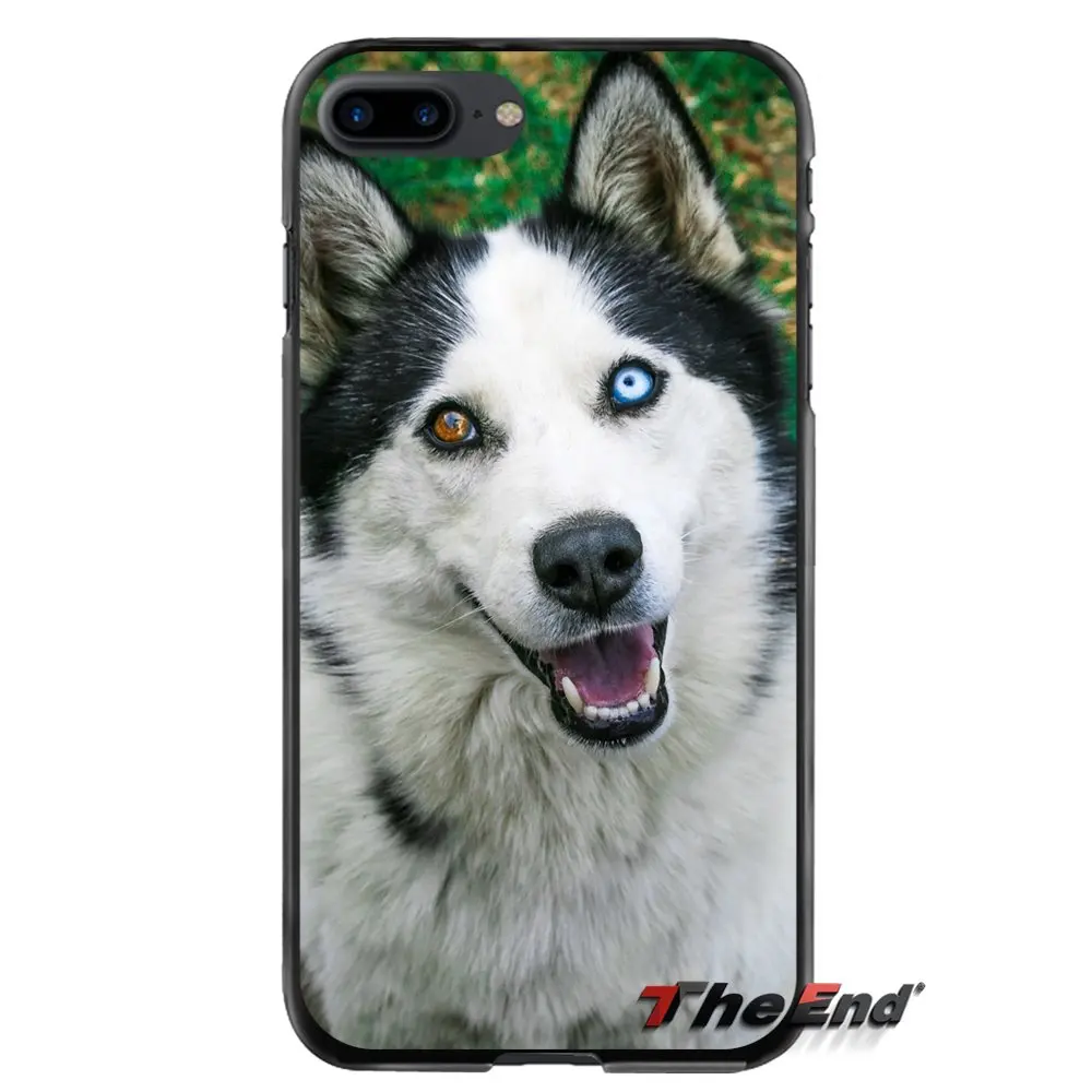 Аксессуары чехлы для телефонов Husky Dog Apple iPhone 4 4s 5 5S 5C SE 6 S 7 8 Plus X iPod Touch