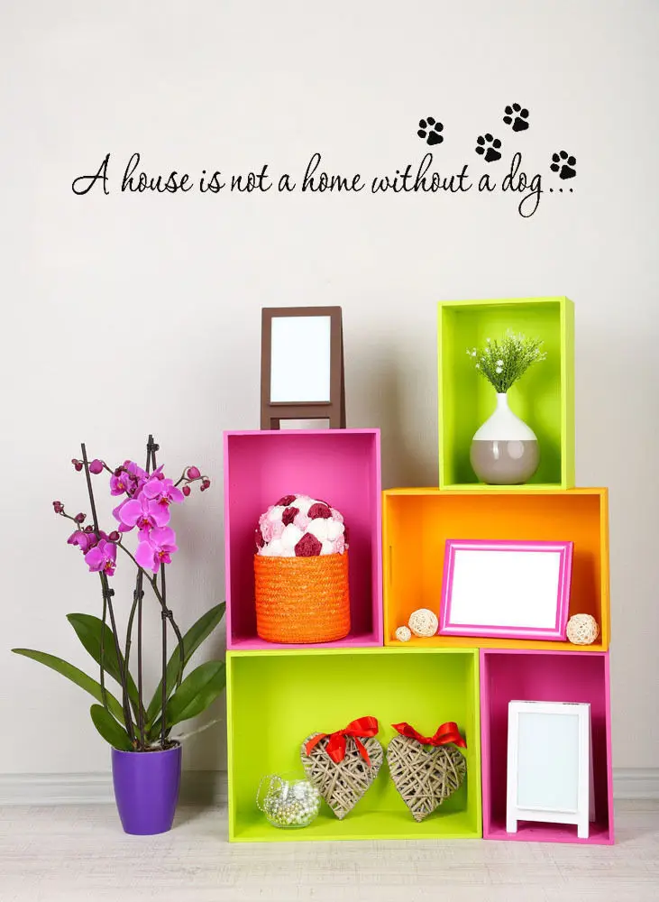 Носки с принтом медвежьей лапы стены Стикеры s A дом не может вызвать дома без