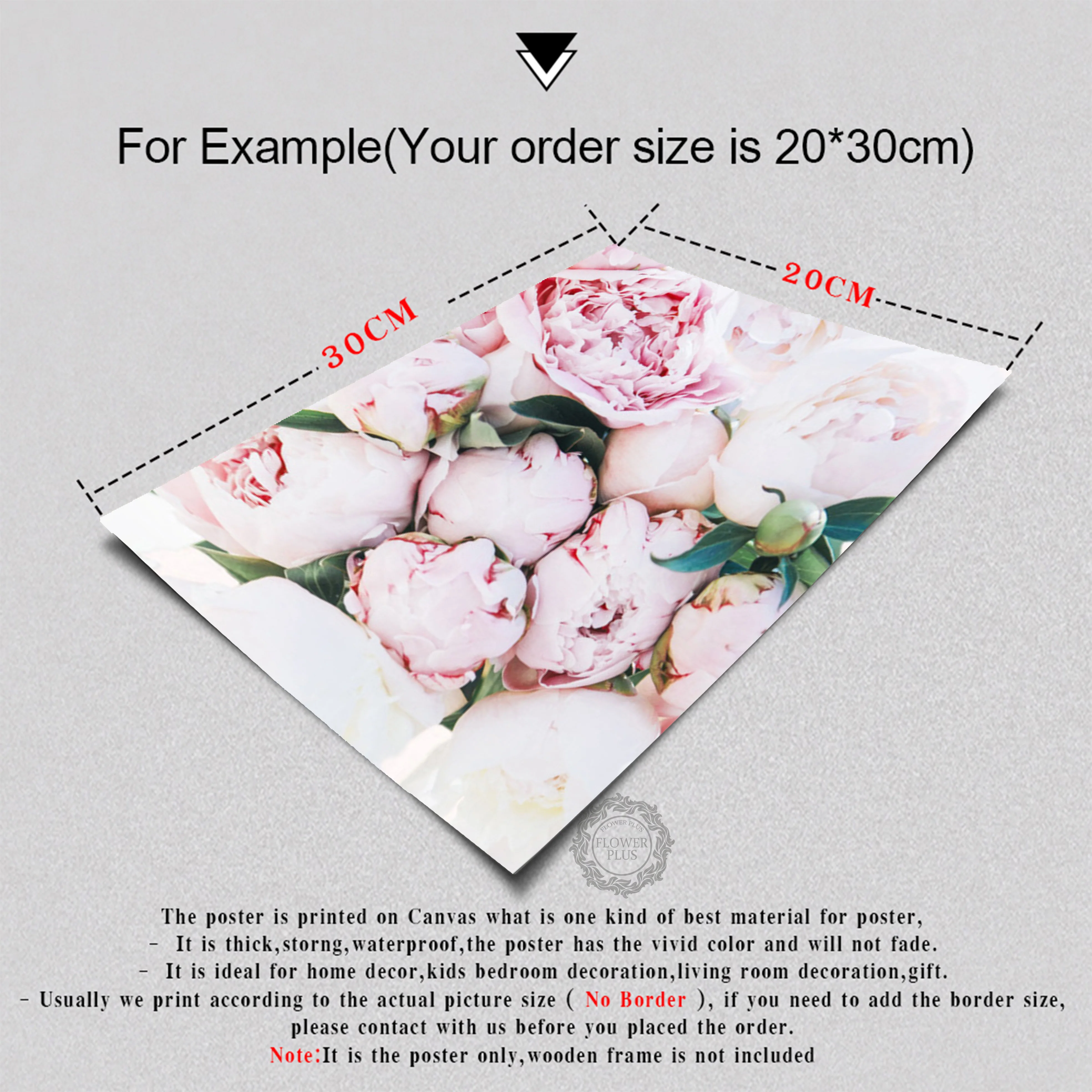 

Fashion Blush Pink Wall Art Peonies Print Coco Quote Poster Inspirational Canvas Picture Painting Living Room Bedroom Decor