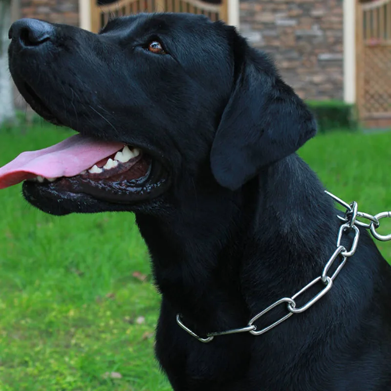 Собачий ошейник большого размера для прогулок тренировочный регулируемый