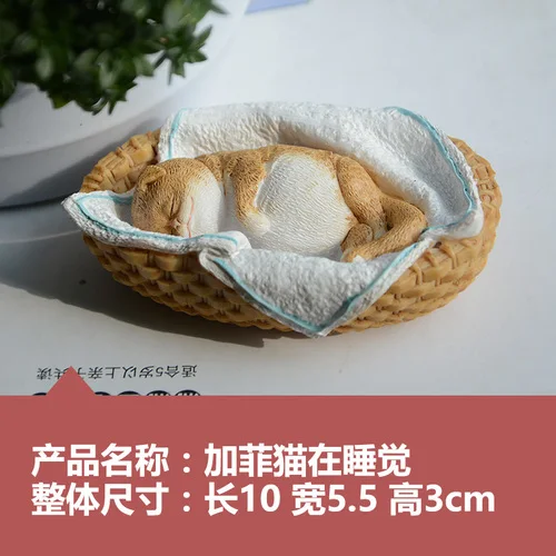 Модные фрески, украшения, креативное чтение, кошка, смола, животные, украшения для мальчиков и девочек, подарки, украшение для дома, креативные подарки - Цвет: Прозрачный