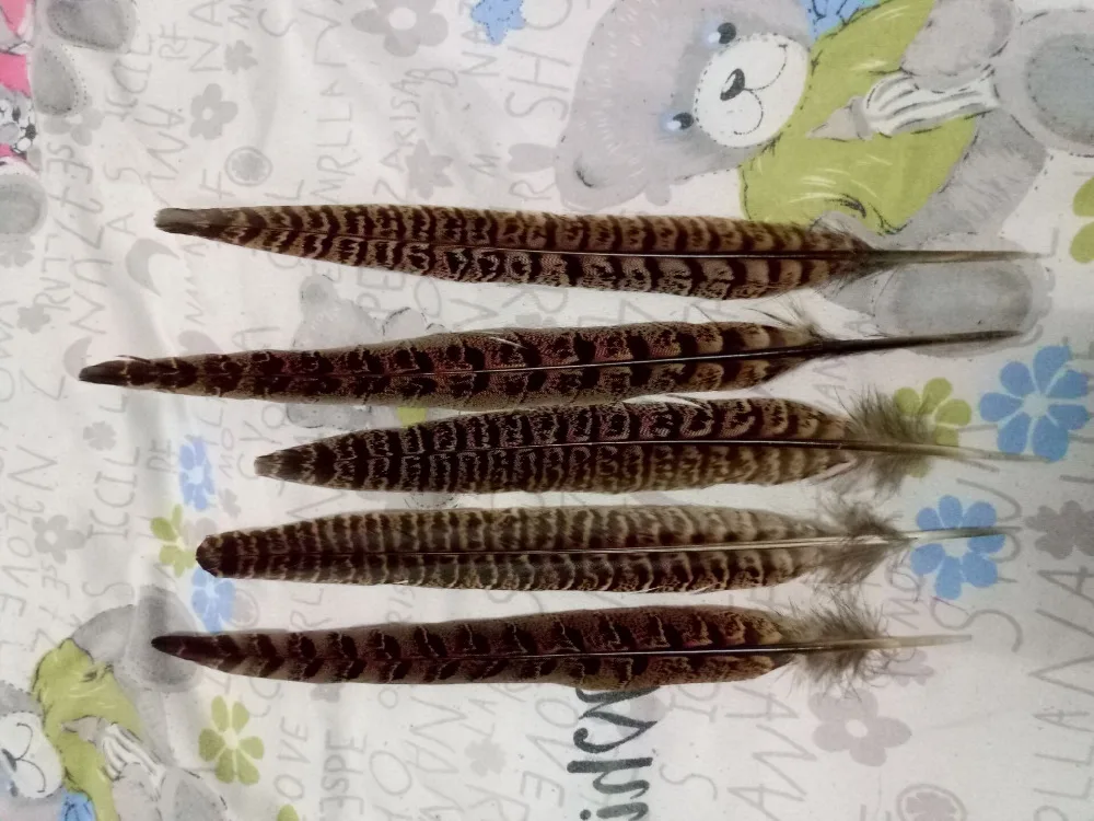 10 pieces of high quality natural pheasant feathers 25-30cm DIY handicrafts decorative accessories | Дом и сад