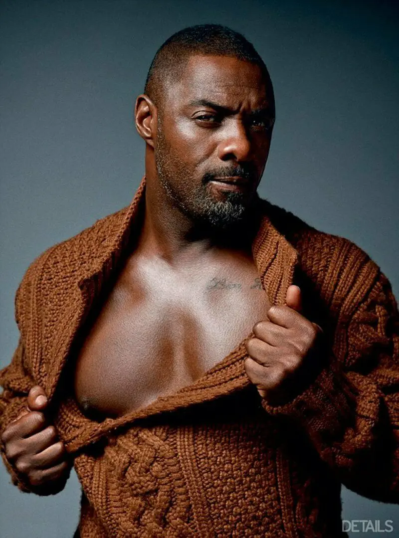 Idris Elba SILK плакат декоративной живописи 24x36inch | Дом и сад