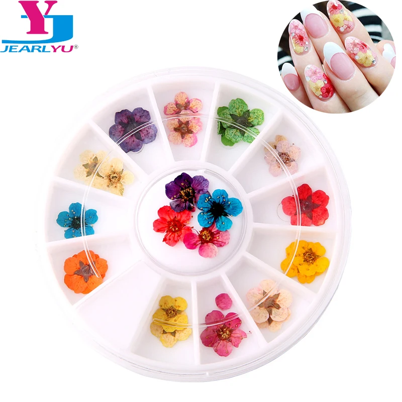 

Dried Flowers Leaf 24 Pcs/Wheel Nail Decoration Natural Floral Sticker 3D Pressed Blossom Flower UV Gel Polish Manicure DIY Kits