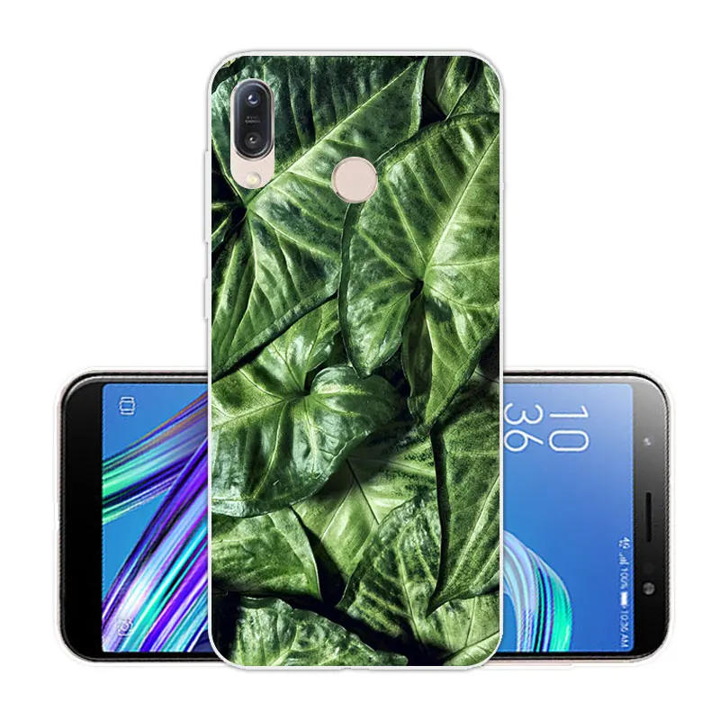 Чехлы для телефонов Asus Zenfone Max M1 ZB555KL 5 дюймов ASUS ZENFONE MAX силиконовый чехол Scenic Eagle Capa