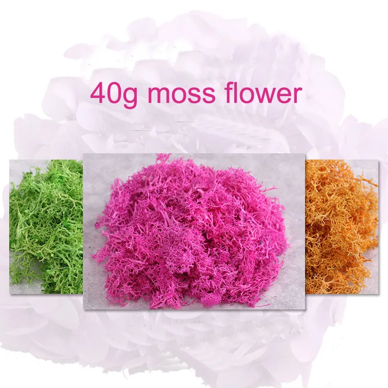 40 г многоцветный мох никогда не увядает страховые вечные цветы бесцветные Цветы