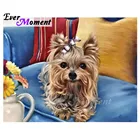 Алмазная живопись с изображением стразы, 5D, мозаика сделай сам для украшения своими руками, алмазная вышивка ASF1492