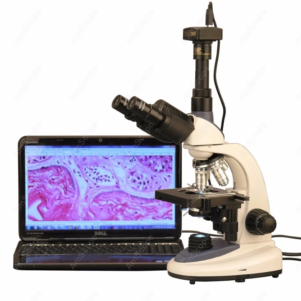 

AmScope Supplies 40X-2500X 3W LED Trinocular Compound Microscope with 1.3MP Digital Camera T380C-M