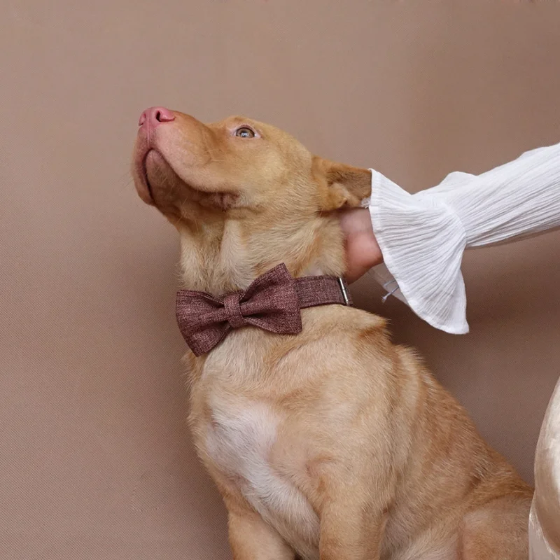 MUTTCO розничная продажа модный самодельный ошейник для собак ручной работы