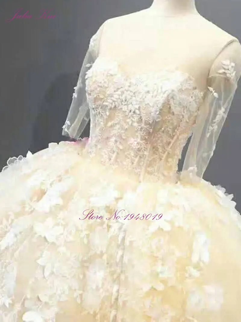 Romantic Illusion Sweetheart Half Sleeves Ball Gown With Embroidery Beading Lace Applique Floral Prints Lace Up Wedding Dresses