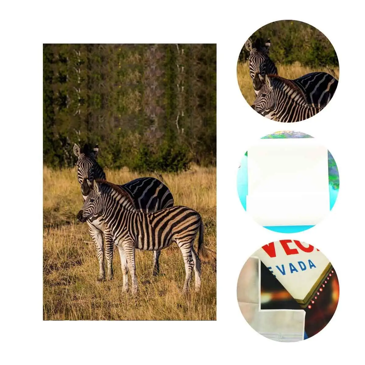 5x7ft Stopped Zebras Backdrop Outdoor Travel Photography Background Studio Props | Электроника