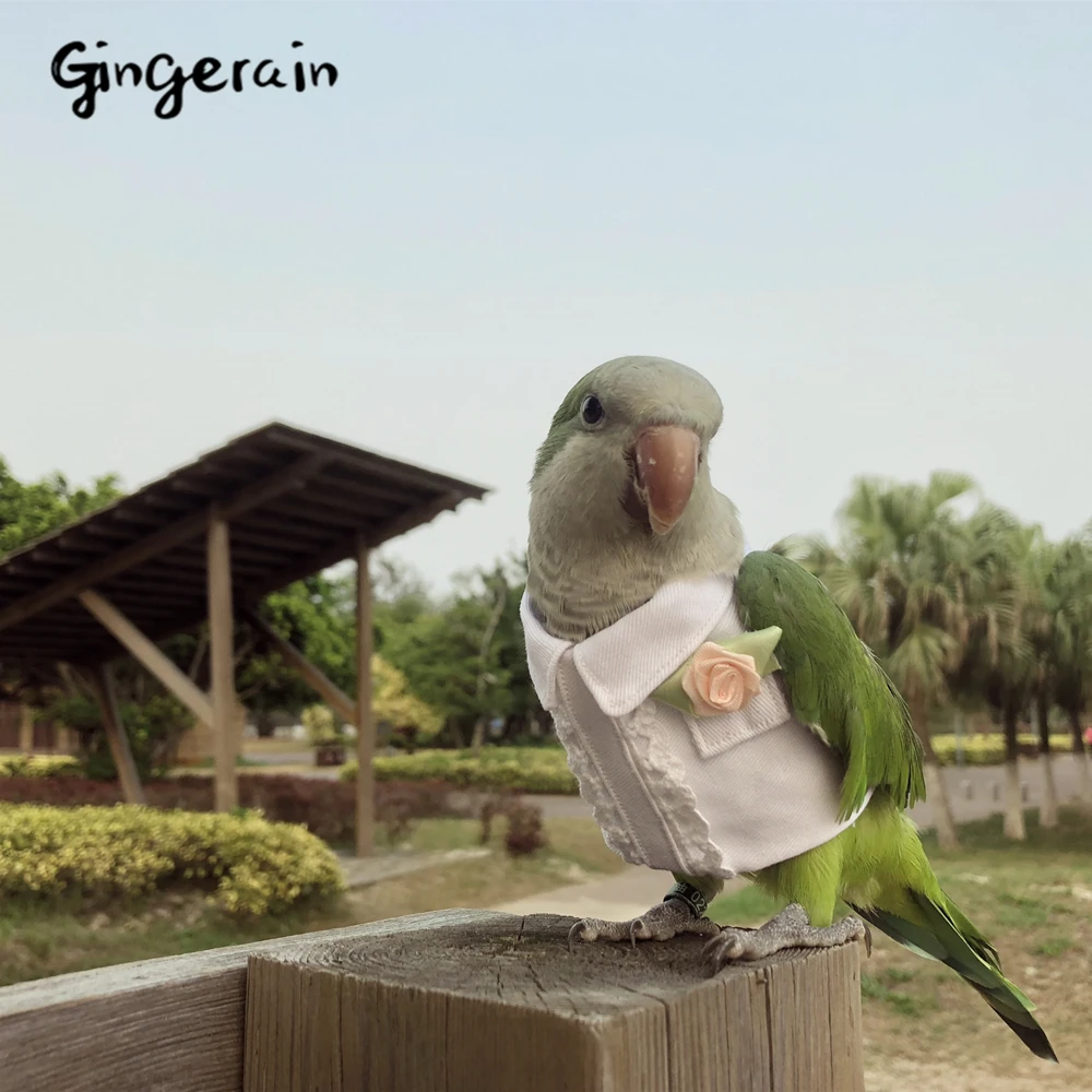 Gingerain одежда с птицами, попугаем, весенняя одежда с цветами, оригинальная ручная работа, одежда с птицами, свитер с капюшоном, весенний цветок