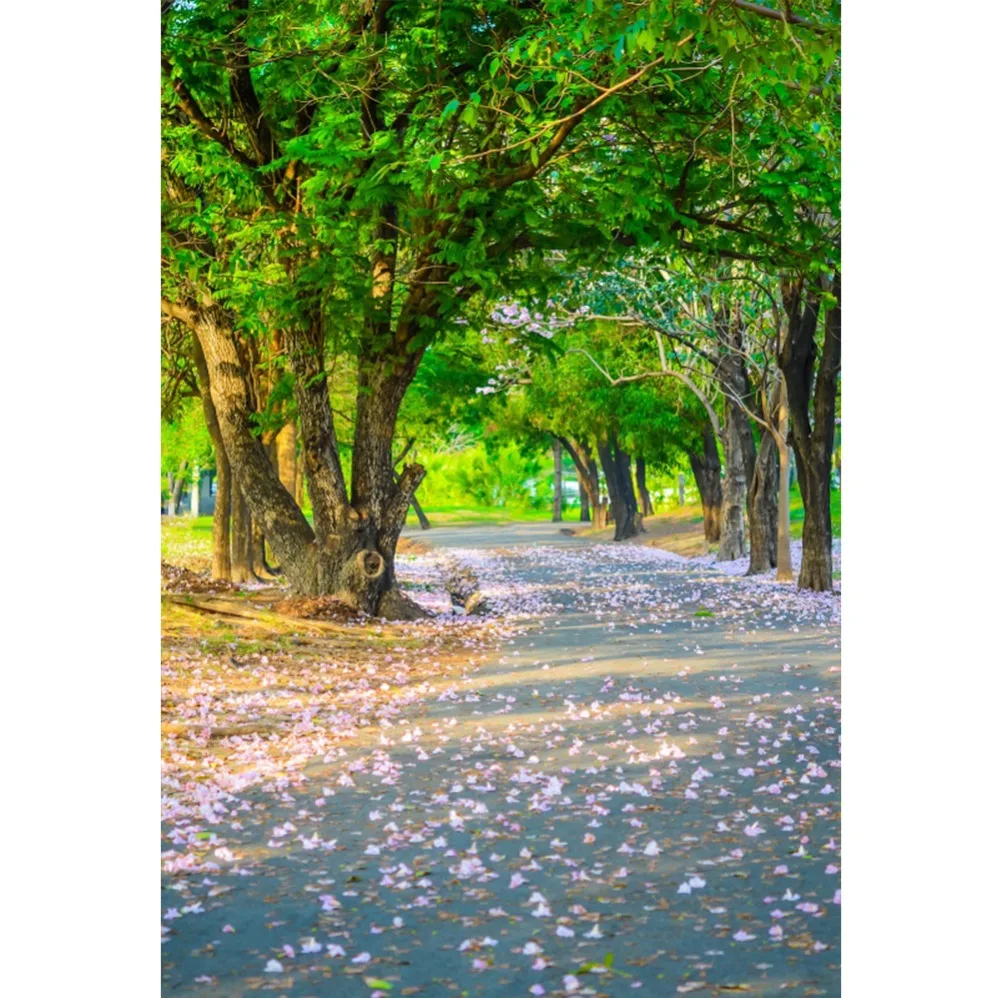 

Laeacco Spring Old Tree Blossom Flowers Petal Way Park Scenic View Photographic Background Photo Backdrops For Photo Studio