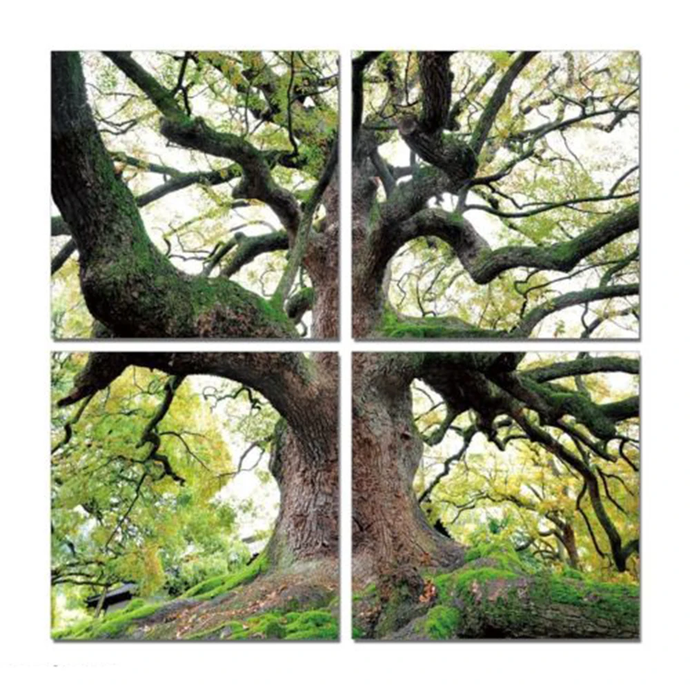 

5pcs(no frame)Wall Art Green trees definition pictures canvas prints Home Decoration living room modular painting Print cuadros