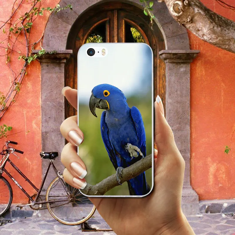 Силиконовые мягкие чехлы из ТПУ для мобильных телефонов iphone 7 6 6 S 8 PLUS X XR XS Max 5 5S SE 5C 4 4s Shell Hot попугай Ара Peafowl Bird - Цвет: Photo 1