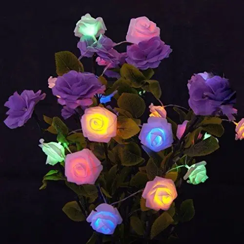 

Home decor indoor Outdoor String Lights, Battery Operated 2M 20 LED Rose Flower Fairy Lights String,warm white RGB color