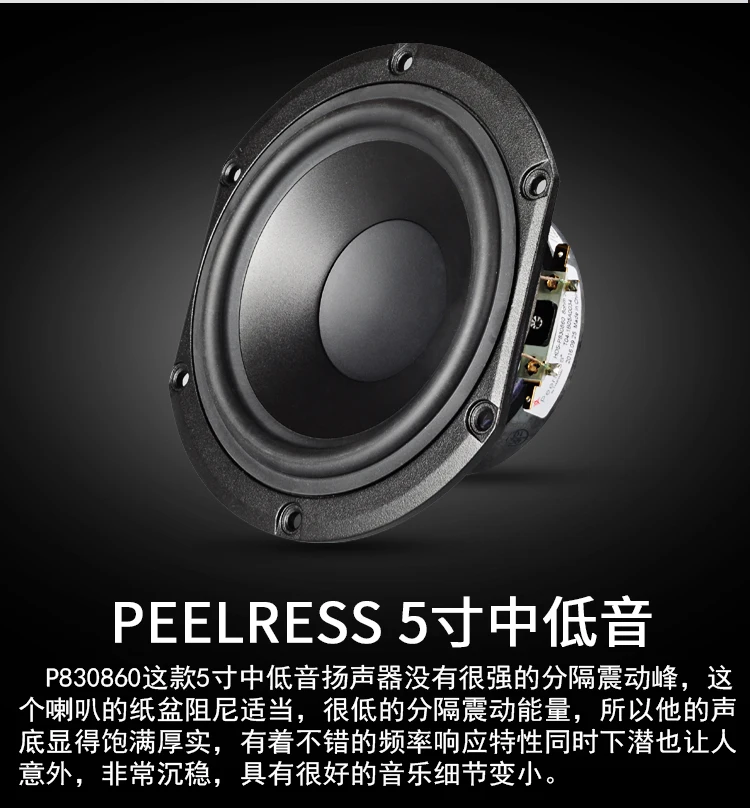 PAIYON P5 hifi колонки для полки powered колонки 2,0 мини настольный домашний кинотеатр