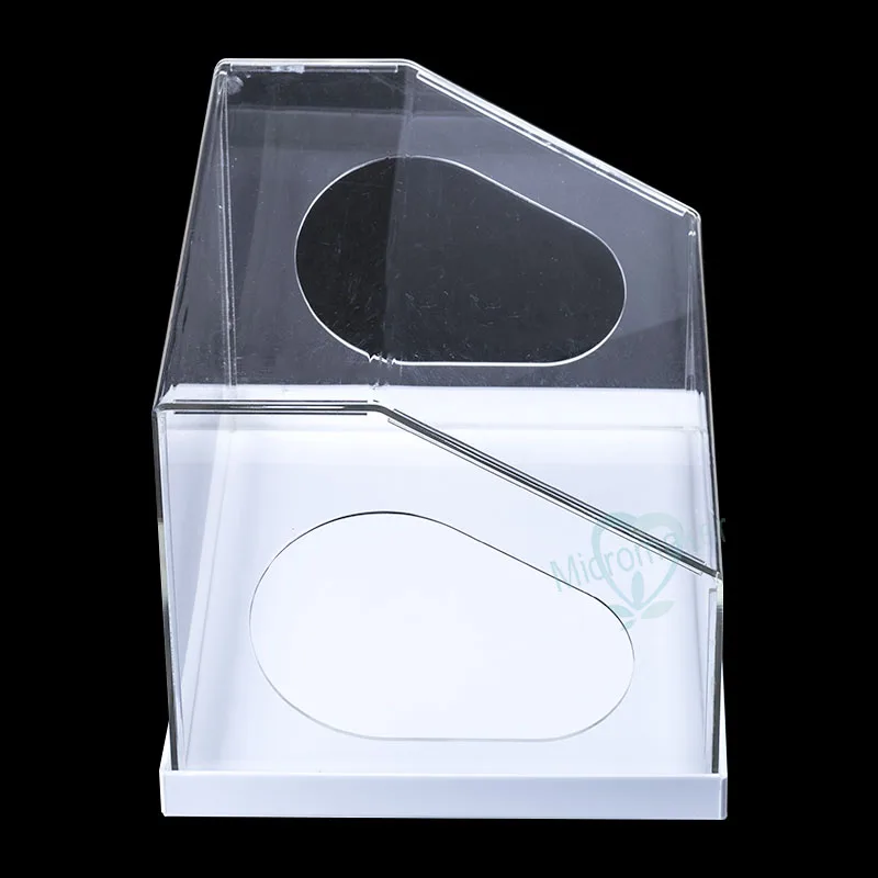 Акриловый держатель для полировки зубов|Отбеливание зубов| |