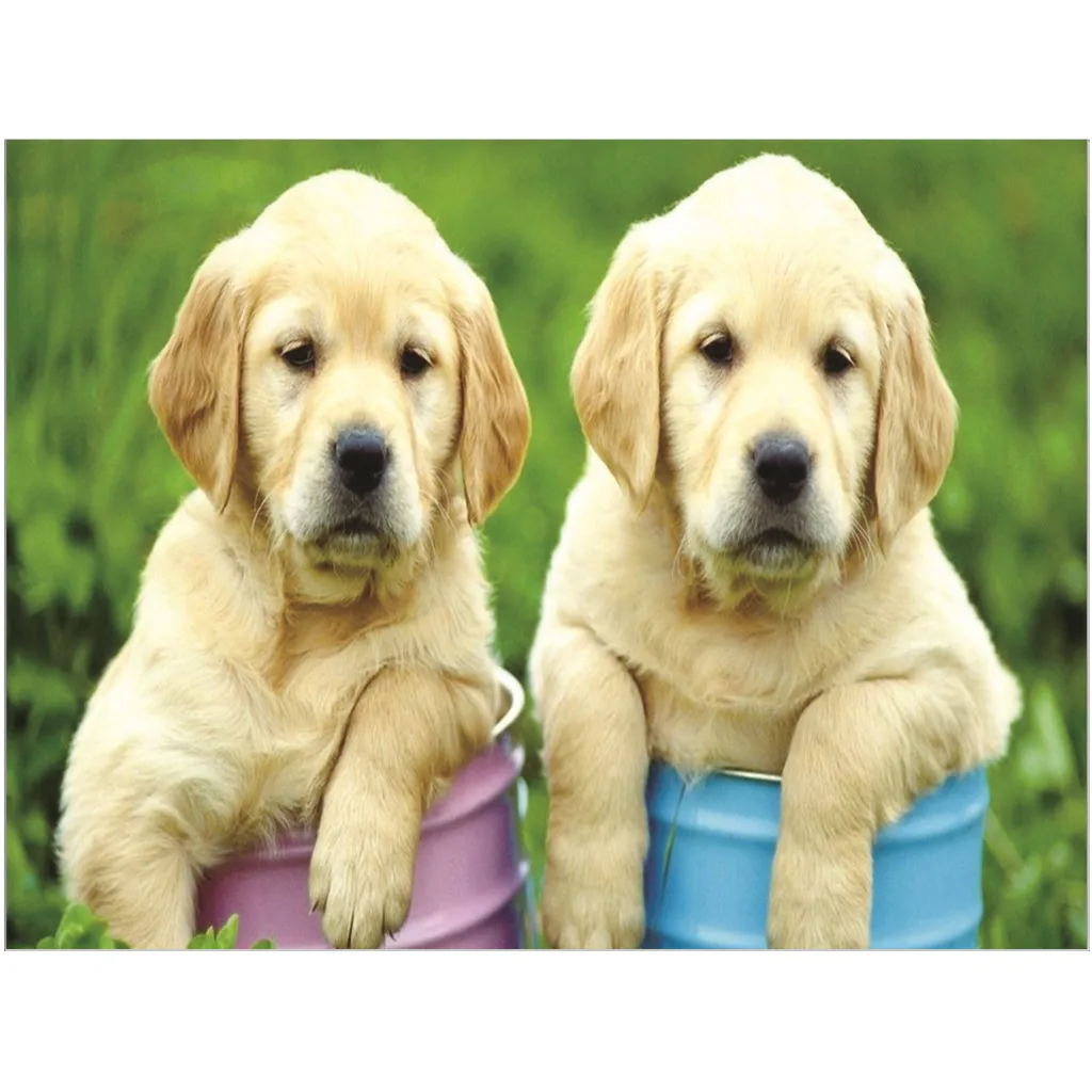 Pictures By Numbers Embroidery Paintings 5D Plant Rhinestone Pasted DIY Diamond Painting Stitch Vintage Poster 19Mer29 P40 | Дом и сад