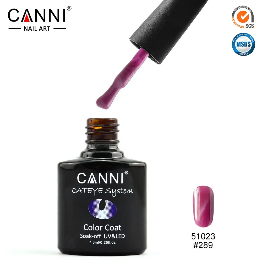 289 CANNI 7,3 мл Магнитный Гель-лак «кошачий глаз» 51024 высокое качество маникюрный салон продукты 24 цвета замочить от кошачьих глаз гель лак для ногтей - Цвет: 289