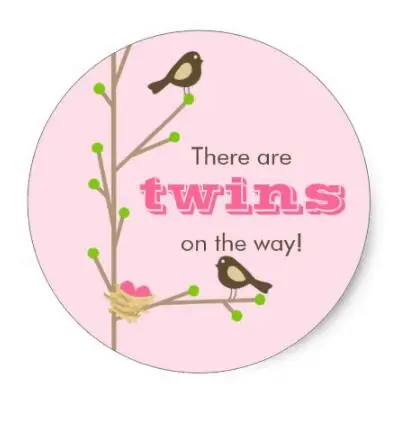 

1.5inch TWINS - Mod Nesting Birds Classic Round Sticker