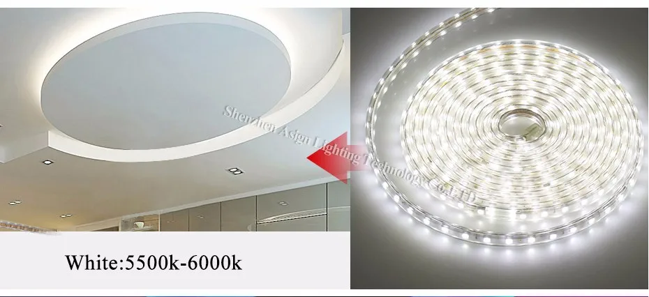 Водонепроницаемый ac220в Светодиодная лента 5050 SMD 60 светодиодный s/m светодиодный светильник садовый наружный декоративный светильник+ штепсельная вилка европейского стандарта Светодиодная лента светильник