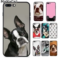 maiyaca animal boston terrier dog pattern tpu soft phone accessories phone case for iphone 8 7 6 6s plus x xs max 5 5s se xr