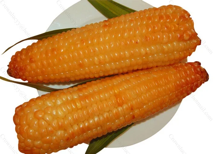 Электрическая машина для запекания кукурузы жарки на продажу|machinable ceramic|machine