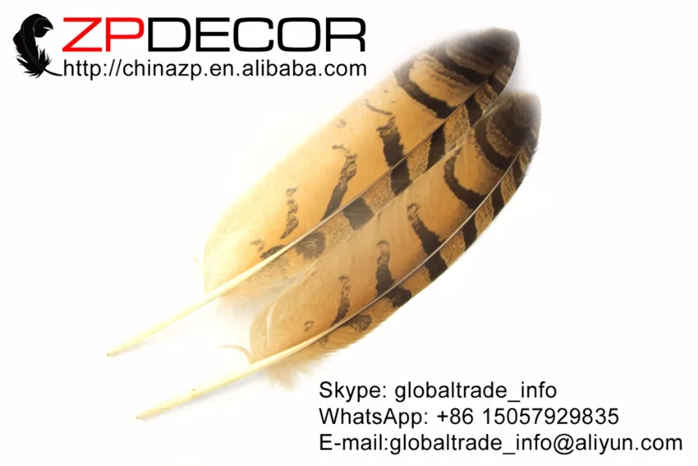 ZPDECOR 30 35( 12 14 дюймов) 50 шт./лот настоящие красивые перья с изображением совы и орла