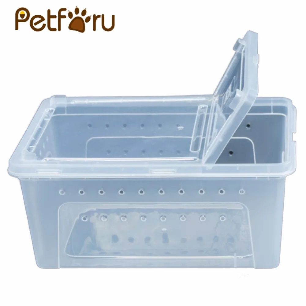 Пластиковый контейнер для кормления ящерицы с изображением паука М|reptile feeding|plastic