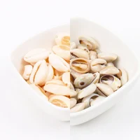 Ракушки для декорирования 50 шт