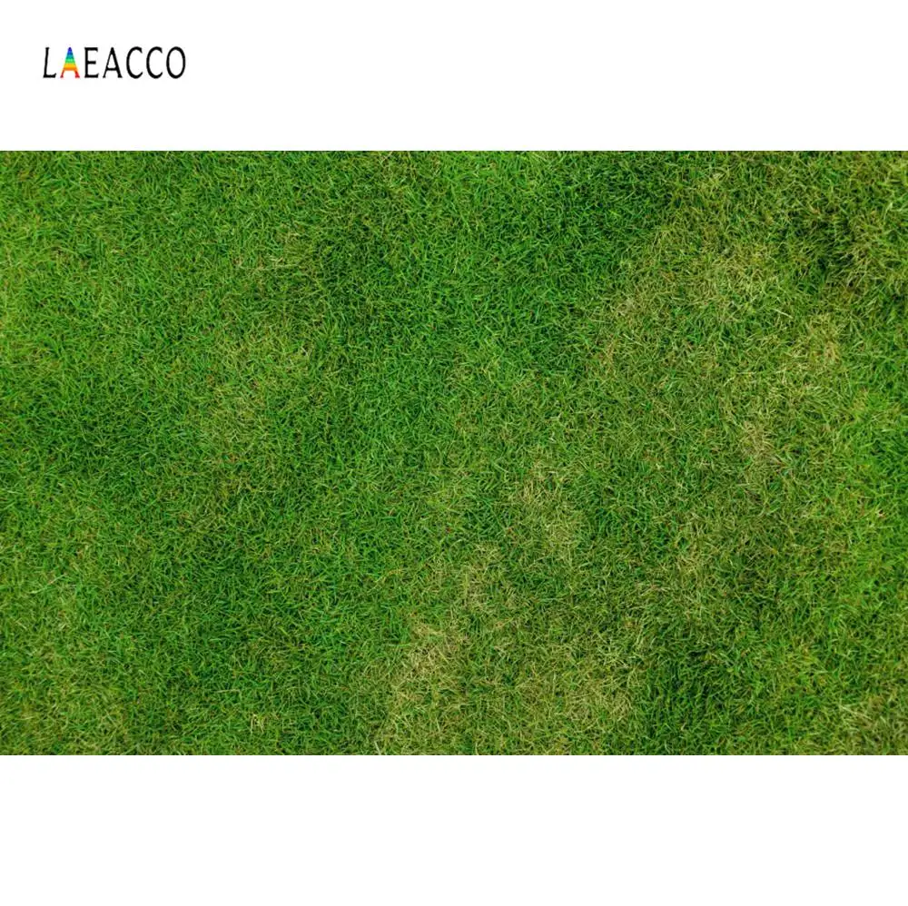 Laeacco зеленое весеннее злаковое сено стек для новорожденных фигурка животного портрет фотографии фоны для фотографий фон фотостудия