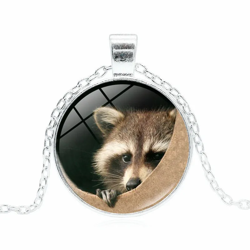 XUSHUI XJ Винтажные Ювелирные ожерелья и кулоны с рисунком енота стеклянный кабошон