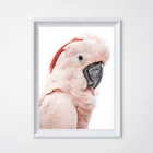 Розовый такаду, австралийская птица, большой постер с тропическими животными, холщовая картина, фотография такаду, домашний Настенный декор