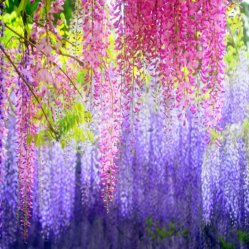 Фотообои на заказ 3D обои для гостиной ресторана украшения интерьера|interior decoration