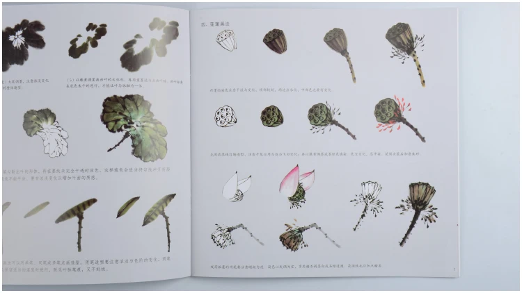 Книга для входа китайской живописи техники рисования свободными руками: Lotus 22