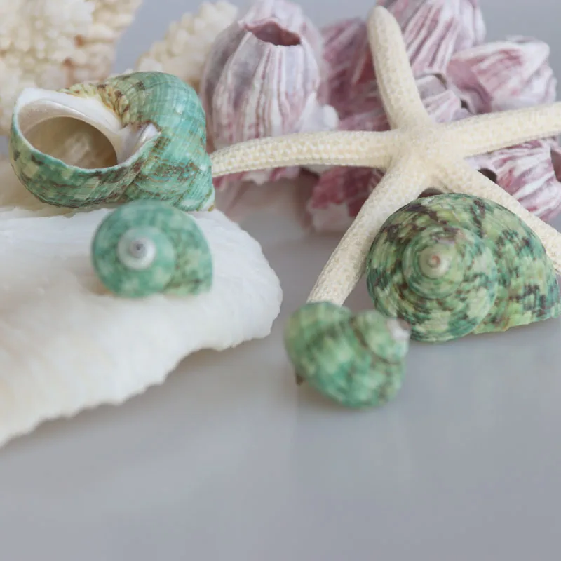 Бесплатная доставка (20 шт./лот) маленькая Зеленая Улитка натуральная раковина и