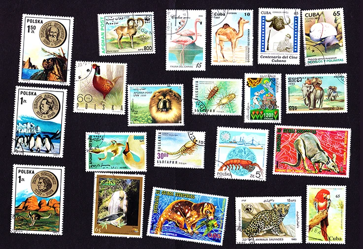 Коллекция почтовых марок с рыбками и птицами в разных странах 20 шт. | Дом сад