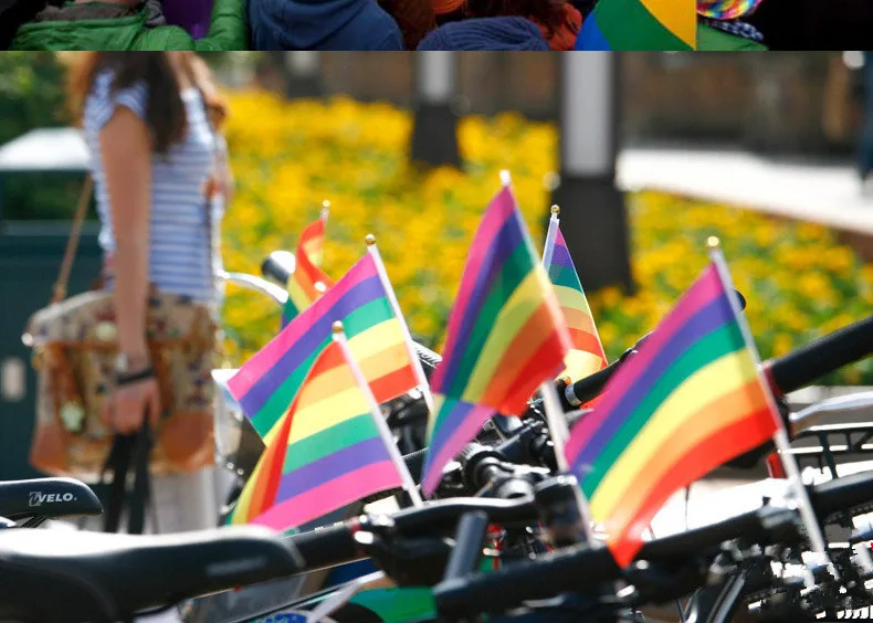 

200pcs free UPS Hot Sell the Small Rainbow flag 14*21CM Gay Pride Hand Flag the hand waving flag with Pole Bisexual LGBT Flag