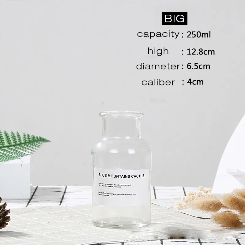 250ML C1 Скандинавская стеклянная ваза для дома, Креативные украшения, прозрачные сушеные цветы, гидропоники, маленькая коричневая бутылка, ваза, прикроватное украшение - Color: 250ML C1