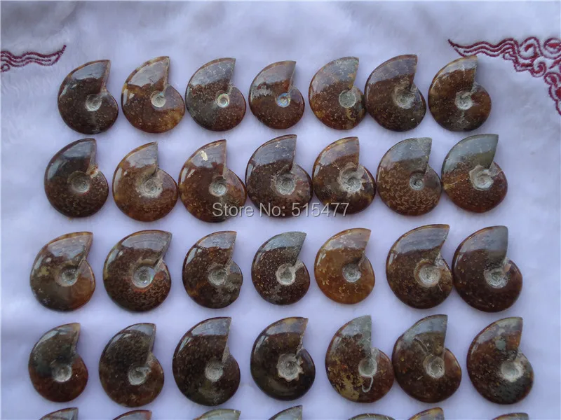 63 New Find натуральный меловидный аммонит FOSSIL образец 950 г | Дом и сад
