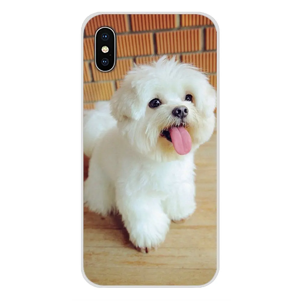images 8 Для huawei G7 G8 P7 P8 P9 P10 P20 P30 Lite Mini Pro P Smart плюс белый Мальтийский щенки собака сотовый Чехол для телефона Чехлы - Цвет: images 8